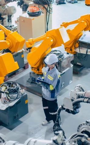 Κλάδος Παραγωγής