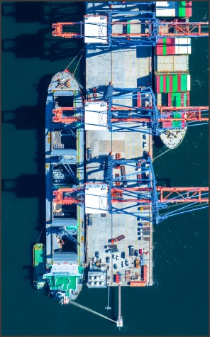 Ναυτιλιακός Κλάδος